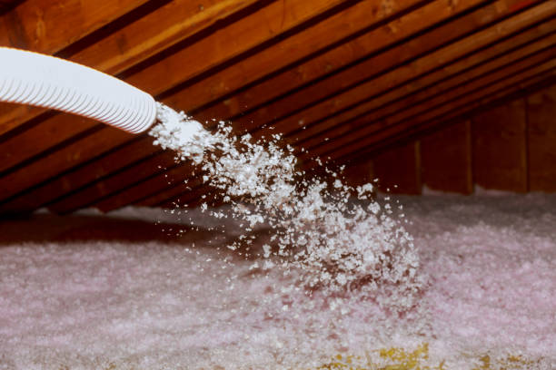 Best Spray Foam Insulation in North Springfield, VA