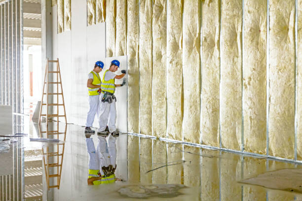 Best Commercial Insulation in North Springfield, VA